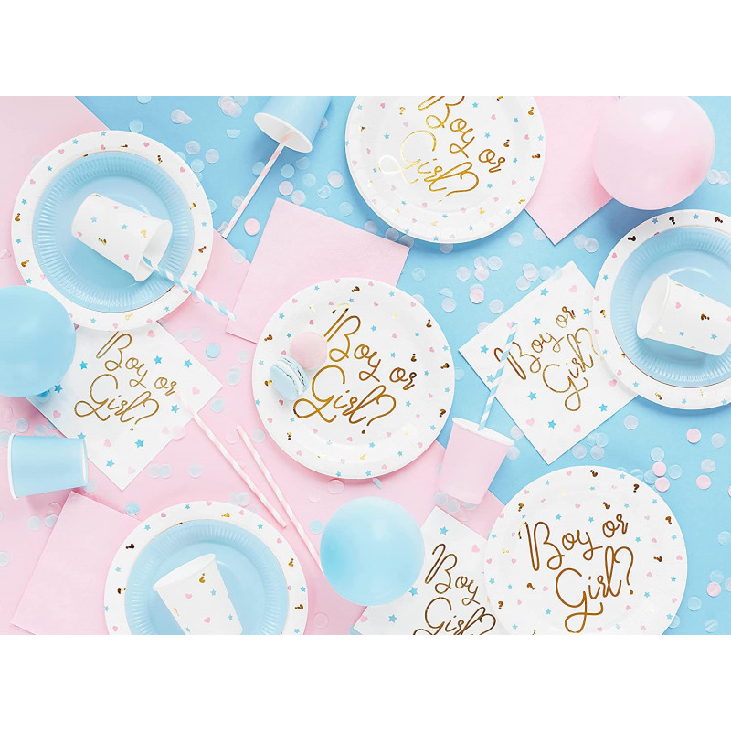 Ghirlanda Bandierine Gender Reveal – Boy Or Girl – Tema Acquerello – 10 Bandiere 12,5x17,5 Cm – Con Nastro 2 M
